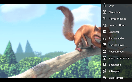 VLC