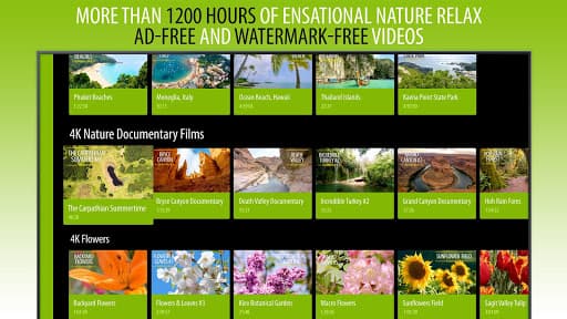 4K Nature Relax TV