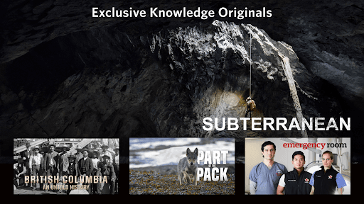 Knowledge