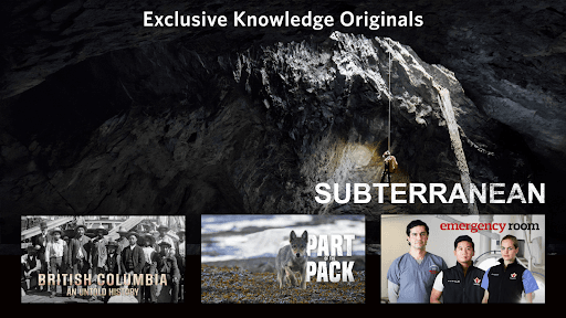 Knowledge
