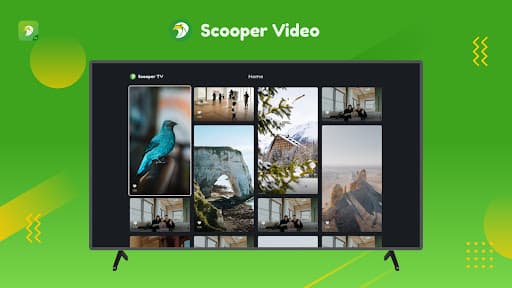 Scooper Video