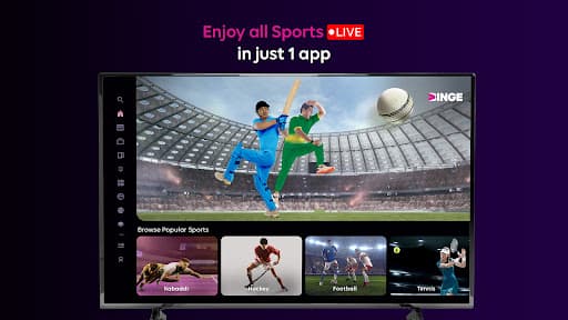 Tata Play Binge: 22+ OTTs in 1
