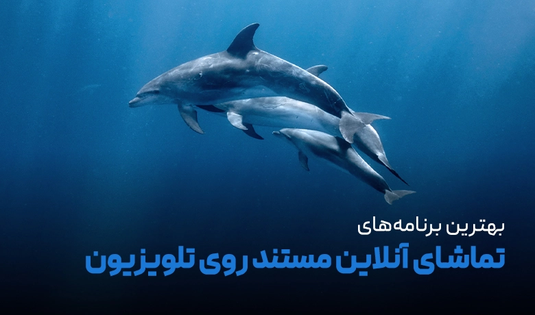برنامه تماشای مستند روی اندروید تی وی